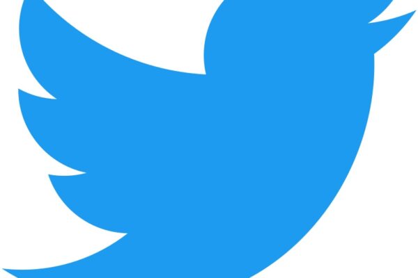 Для чего стоит «чирикать» в России, стоит ли Twitter того и сколько это стоит